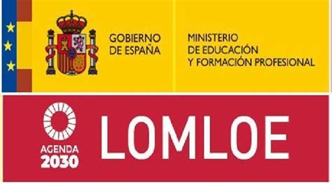 lomloe 2020 ministerio de educacion